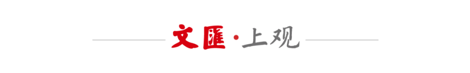 在本国投入, 但这无法怨, 土耳其会向